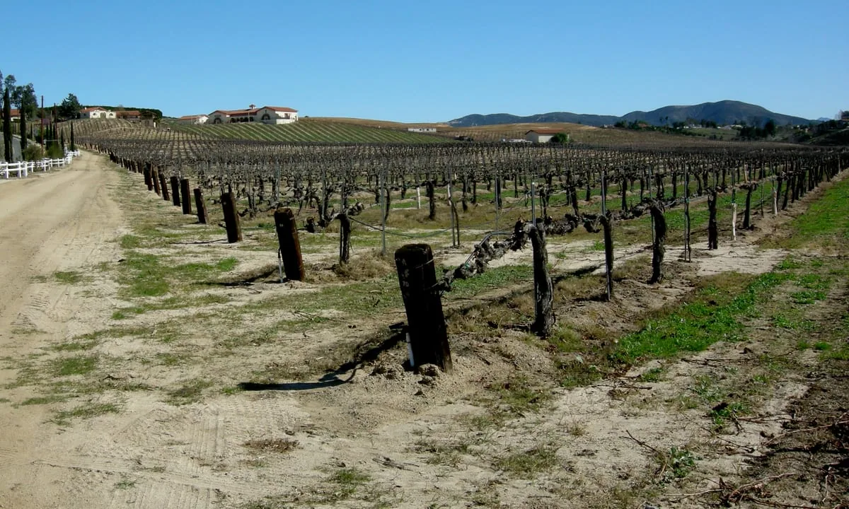 Temecula